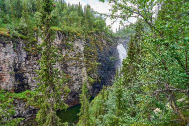 İsveç 'te Hallingsafallet şelalesi, popüler turistik güzergah boyunca Vildmarksvagen, İskandinavya' nın sık ormanlarından geçen ıssız yol..