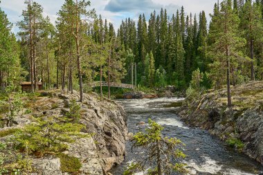 Dimforsen Şelalesi 'nin manzarası Jamtland' ın kuzeyinde Vildmarksvagen boyunca beyaz su akıntıları