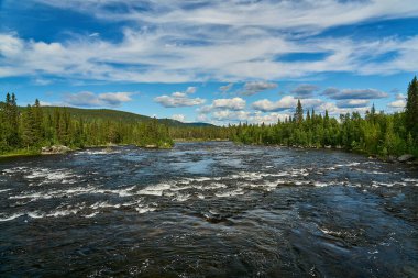 Dimforsen Şelalesi 'nin manzarası Jamtland' ın kuzeyinde Vildmarksvagen boyunca beyaz su akıntıları