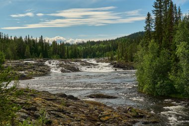 Dimforsen Şelalesi 'nin manzarası Jamtland' ın kuzeyinde Vildmarksvagen boyunca beyaz su akıntıları