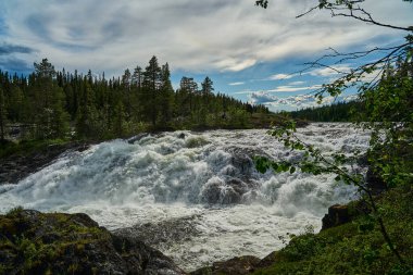 Dimforsen Şelalesi 'nin manzarası Jamtland' ın kuzeyinde Vildmarksvagen boyunca beyaz su akıntıları