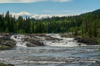 Dimforsen Şelalesi 'nin manzarası Jamtland' ın kuzeyinde Vildmarksvagen boyunca beyaz su akıntıları