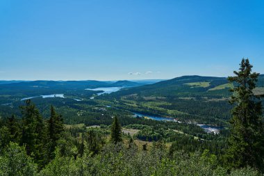 Kuzey İsveç 'te yaz gündönümünde sonsuz ormanlık alan, altın ışık, yuvarlanan tepeler ve el değmemiş doğa ile gün batımı üzerinde İskandinav yaban hayatı..