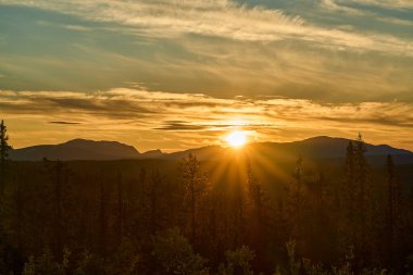 Kuzey İsveç 'te yaz gündönümünde sonsuz ormanlık alan, altın ışık, yuvarlanan tepeler ve el değmemiş doğa ile gün batımı üzerinde İskandinav yaban hayatı..