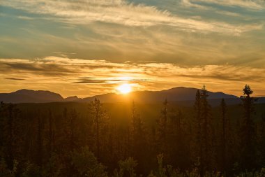 Kuzey İsveç 'te yaz gündönümünde sonsuz ormanlık alan, altın ışık, yuvarlanan tepeler ve el değmemiş doğa ile gün batımı üzerinde İskandinav yaban hayatı..