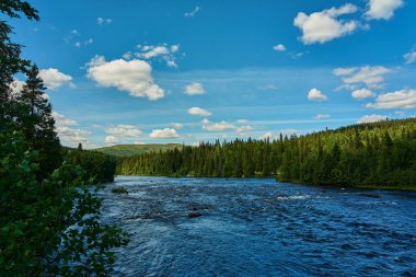 İsveç 'te İskandinavya' nın engin topraklarında akan bir nehrin romantik manzarası. Arka planda Vildmarksvagen boyunca uzanan çam ormanları, popüler bir seyahat beldesi...