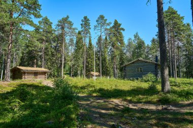İskandinavya 'nın sık ormanlarındaki yüksek çam ağaçlarıyla çevrili ormanda tipik bir dağ kulübesi ya da kulübe..