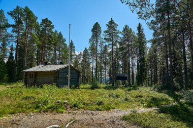 İskandinavya 'nın sık ormanlarındaki yüksek çam ağaçlarıyla çevrili ormanda tipik bir dağ kulübesi ya da kulübe..