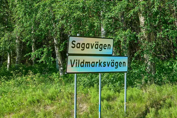 Vildmarksvagen yolu, ıssız yol, İsveç 'in engin doğa ve ormanlarından geçen popüler manzaralı bir yol..