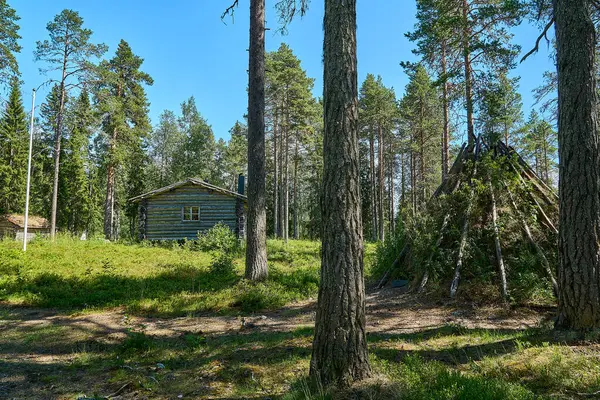 İskandinavya 'nın sık ormanlarındaki yüksek çam ağaçlarıyla çevrili ormanda tipik bir dağ kulübesi ya da kulübe..