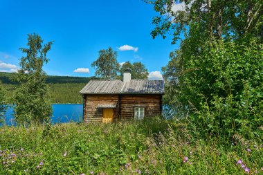 İskandinavya 'nın sık ormanlarındaki yüksek çam ağaçlarıyla çevrili ormanda tipik bir dağ kulübesi ya da kulübe..