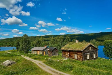 İskandinavya 'nın sık ormanlarındaki yüksek çam ağaçlarıyla çevrili ormanda tipik bir dağ kulübesi ya da kulübe..
