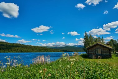 İskandinavya 'nın sık ormanlarındaki yüksek çam ağaçlarıyla çevrili ormanda tipik bir dağ kulübesi ya da kulübe..