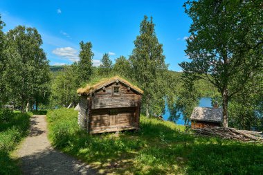 İskandinavya 'nın sık ormanlarındaki yüksek çam ağaçlarıyla çevrili ormanda tipik bir dağ kulübesi ya da kulübe..