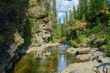 Kuzey Avrupa 'daki İsveç Laponya' nın yoğun çam ormanlarında kayalık bir vadiye akan güzel şelale..