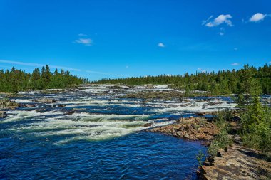 İsveç 'te İskandinavya' nın engin topraklarında akan bir nehrin romantik manzarası. Arka planda Vildmarksvagen boyunca uzanan çam ormanları, popüler bir seyahat beldesi...