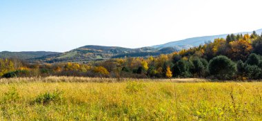 Bieszczady tepeleri altın ve turuncu renklerle kaplı, Bieszczady Dağları 'nda Ekim güneşli hava.