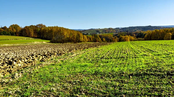 stock image The Bieszczady hills covered with golden and orange colors, October sunny weather in the Bieszczady Mountains.