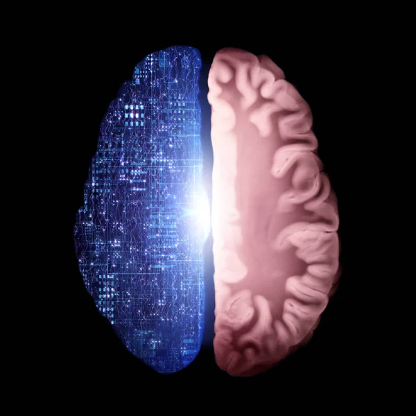 Brain Cross Section Connected To Central Processing Unit, Cyber Neural Networks, Neurolink, Artificial Intelligence, Cpu, Big Data, Internet Networks