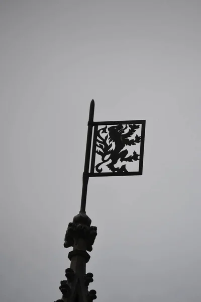 Λιοντάρι Επεξεργασμένο Σημαία Από Μέταλλο — Φωτογραφία Αρχείου