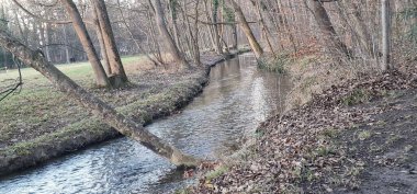 Münih 'in İngiliz Bahçesi' nde nehir boyunca ağaçları olan bir nehir.