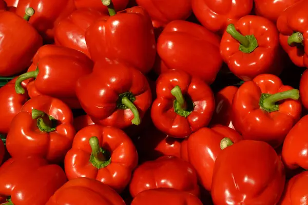 Stock image Red peppers in a pile with green stems