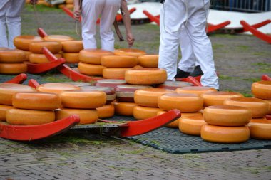 Peynir pazarındaki Hollanda peyniri. Tipik sarı yuvarlak şekilli.