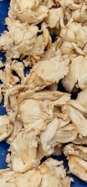 Sebze pazarında satılık mantarlar sergileniyor.