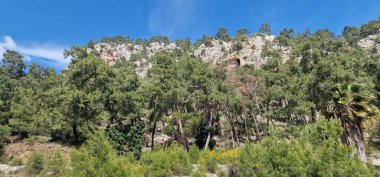 Antalya bölgesindeki yeşil bitki örtüsü ile tepelerin manzarası