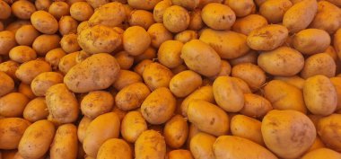 Bir yığın taze, yıkanmamış patates tüm çerçeveyi dolduruyor. Yumru kütleleri şekil ve boyut olarak farklılık göstererek, bazı görünür topraklarla birlikte sarı ve açık kahverengiye benzer toprak tonlarını sergiler. Görüntü yakın çekim, yemek temalı doku çekimi..