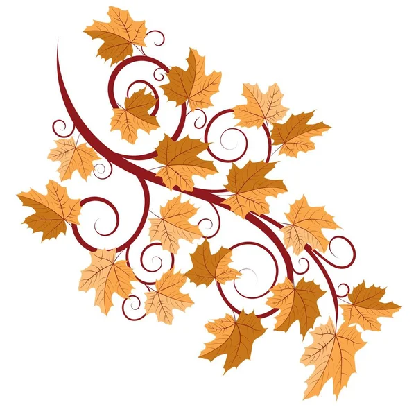 Ast Mit Ahornblättern Herbst Vektorillustration — Stockvektor