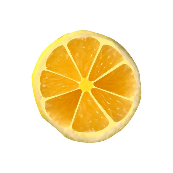 Plátky Citronu Izolované Bílém Pozadí Vektorová Ilustrace — Stockový vektor