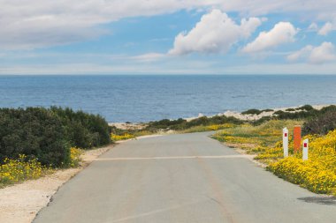 Yol kenarında sarı çiçekler olan, yazın ıssız bir yol. Arka planda bulanık deniz ve mavi gökyüzü beyaz bulutlarla.