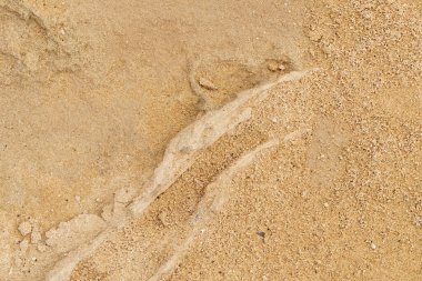 Kumun arka planı yakın plan. Sarı kum dokusu, boş yüzey, boşluğu kopyala.