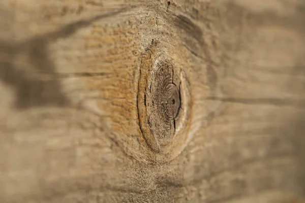 抽象的な木製の背景 木の枝に焦点を当て 視点で木板の質感 — ストック写真