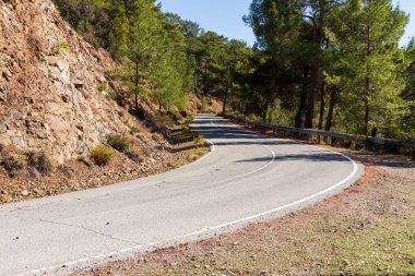Dönek dağ yolu. Güneşli bir günde yol kenarında kaya ve çam ağaçları olan eğri asfalt dağ yolu manzarası.