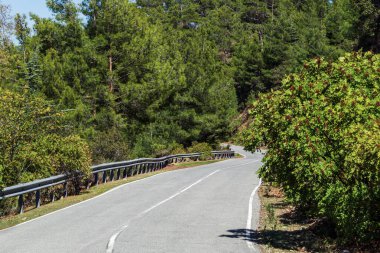 Dağlarda yol. Yeşil çalılar ve ağaçlar arasındaki dağlarda asfalt yol..