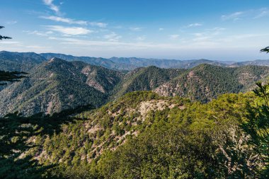 Dağ manzarası. Yeşil dağların güzel manzarası, çam ormanı, arkada mavi gökyüzü..