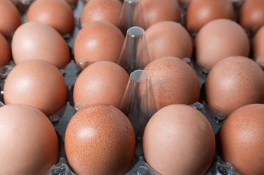 Tavuk yumurtaları yakın çekim. Açılmış plastik tavuk yumurtası paketleme.