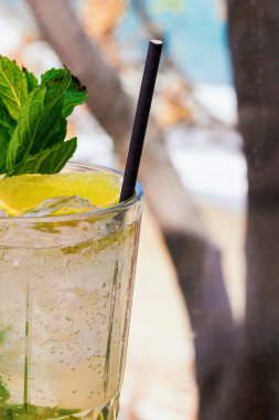 Sarı limon ve yeşil nane yapraklı bardakta mojito kokteyli..