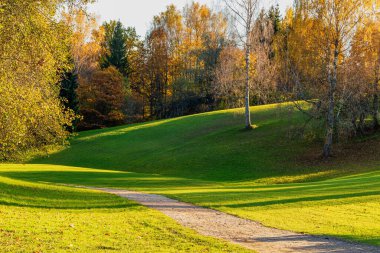 Dağlık arazisi olan güzel bir sonbahar manzarası. Sonbaharda sarı-turuncu yapraklı yeşil çimenler ve ağaçlar.