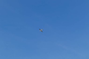 Mavi gökyüzünün arka planında küçük bir uçak. Yüksek uçan küçük boyutlu uçak..