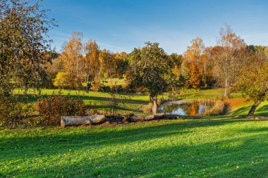 Huzurlu bir göleti çevreleyen güz yapraklarıyla sonbahar manzarası. Doğa temaları, sükunet ve mevsimsel güzellik için ideal..