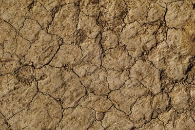 Kuru toprak arka plan. Kahverengi kuru arazi dokusu.