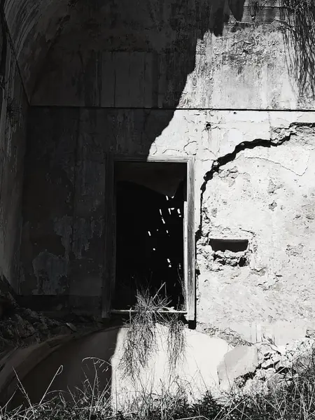Bu görüntü, Poggioreale, Sicilya 'daki terk edilmiş bir binanın girişini gösteriyor, yıpranmış duvarlar, gölgeler ve aşırı büyümüş otlar, kentsel bozulmayı vurguluyor.