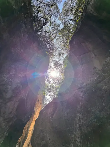Gole Di Tiberio, İtalya - 02 Kasım 2024: Güneş ışığı yemyeşil ve canlı renklerle çevrili dar bir kanyon boyunca akar ve dinginlik yaratır
