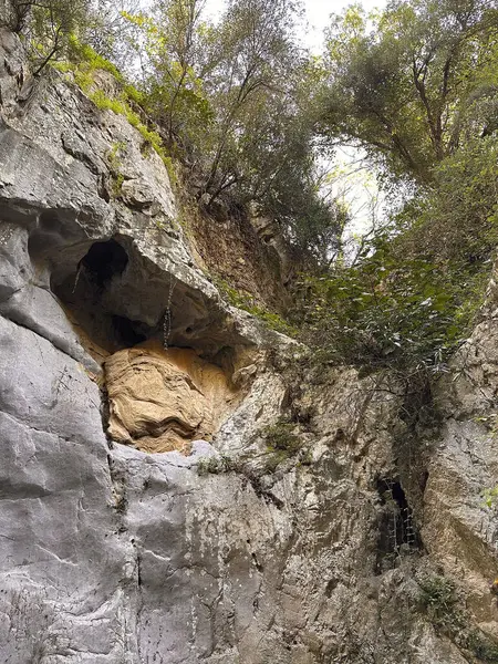Gole Di Tiberio, İtalya - 02 Kasım 2024: Rocky uçurumu canlı yeşillik ve belirgin taş oluşumuyla süslenmiş, doğal güzelliği ve jeolojiyi vurguluyor