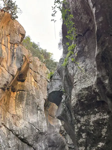 Gole Di Tiberio, İtalya - 02 Kasım 2024: Huzurlu bir kanyonun üzerinde yükselen kaya oluşumları, canlı yeşillikler ve sakin, sakin bir atmosfer ile çevrelenir