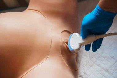 Hastanede, klinikte bir simülasyon mankeni ultrason taraması sırasında hamile bir kadının kırpılmış görüntüsü. Transperineal enine