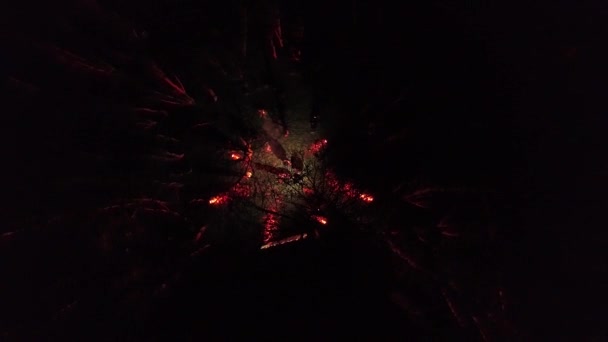 Vídeo Vertical Grupo Pessoas Floresta Noturna Entre Árvores Lâmpadas Vermelhas — Vídeo de Stock